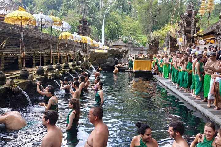 Ubud Full-Day Private Tour: Monkey Forest, Rice Terraces & Sacred Temples photo 5