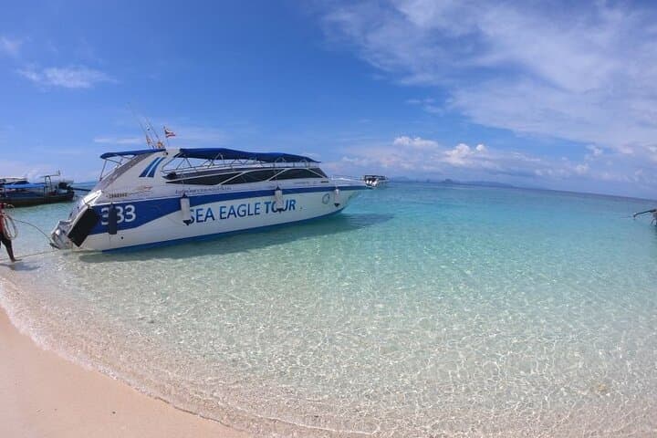 Krabi to Phi Phi Speedboat Day Tour: Maya Bay, Snorkel & Bamboo Island photo 6
