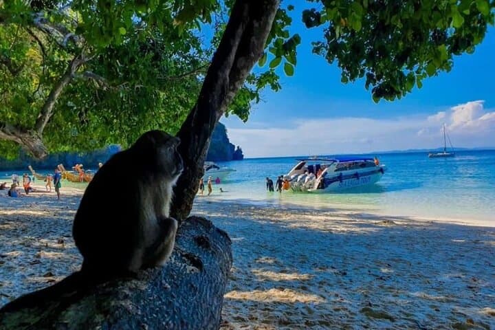 Krabi to Phi Phi Speedboat Day Tour: Maya Bay, Snorkel & Bamboo Island photo 2
