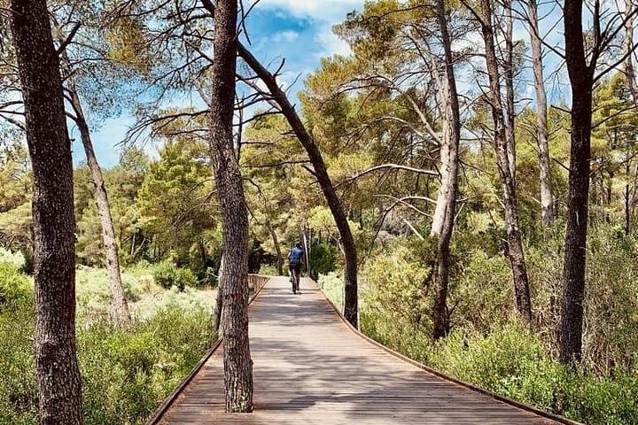 Berat and Karavasta Lagoon Day Trip: Ottoman Hills to Mediterranean Wetlands photo 4