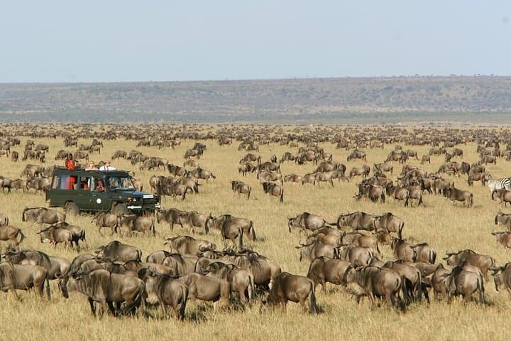 3-Day Masai Mara Safari: 4x4 Game Drives, Mara River & Big Five photo 6