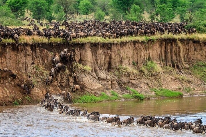 12-Day Kenya & Tanzania Best Parks Safari from Nairobi photo 4