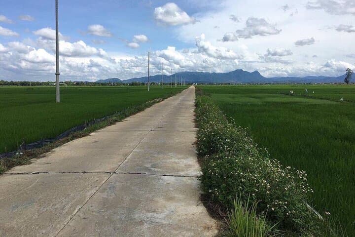 Motorbike Countryside Tour from Hoi An: Thanh Ha, Kim Bong & Cam Kim Villages photo 3