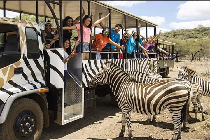 Full-Day Private Tour: 7 Wonders of Mauritius — Chamarel, Casela & More photo 4