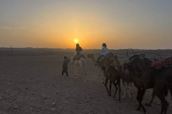 Agafay Desert Evening: Quad Biking, Camel Ride & Dinner Under the Stars photo 3