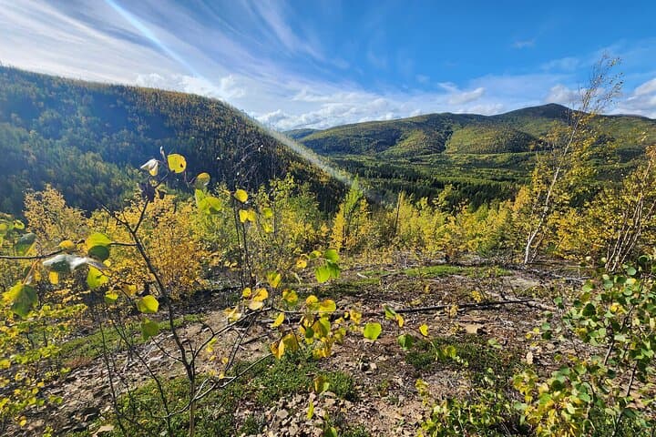 Exploring Angel Rocks Hike and Chena Hot Springs: A Balanced Alaska Adventure photo 3