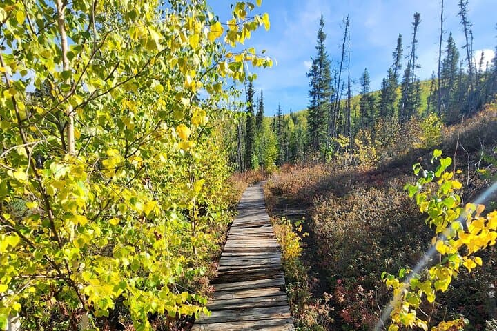 Exploring Angel Rocks Hike and Chena Hot Springs: A Balanced Alaska Adventure photo 4