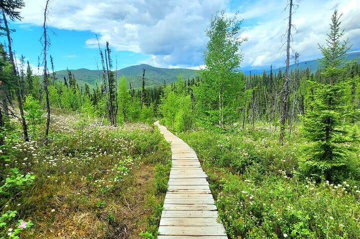 Exploring Angel Rocks Hike and Chena Hot Springs: A Balanced Alaska Adventure photo 5