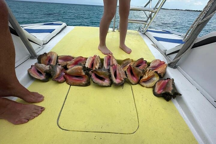 Provo Cays 6-Hour Snorkel & Beach BBQ from Grace Bay photo 4