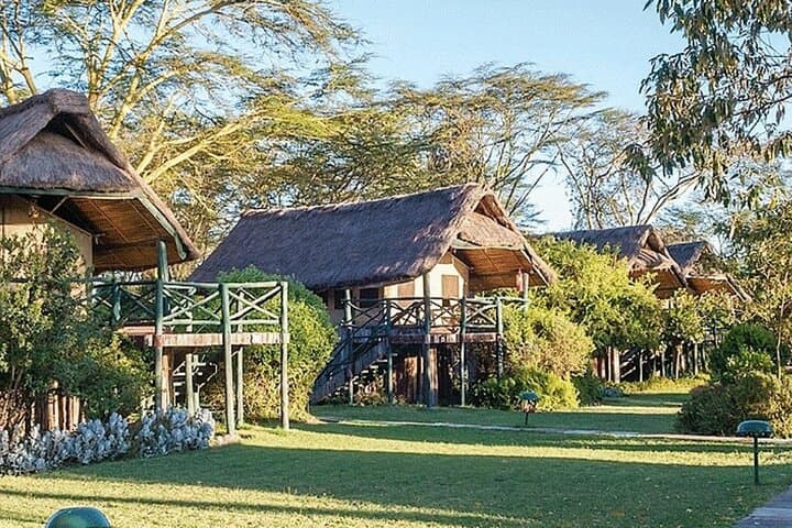Full-Day Ol Pejeta Game Drive from Nairobi: See Rhinos, Chimps & the Big Five photo 5
