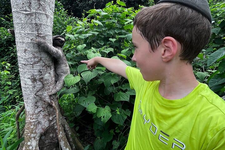 Private Panama Canal Boat & Wildlife Search on Gatun Lake