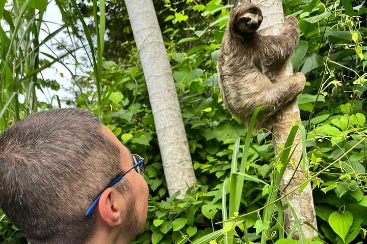 Private Panama Canal Boat & Wildlife Search on Gatun Lake photo 2