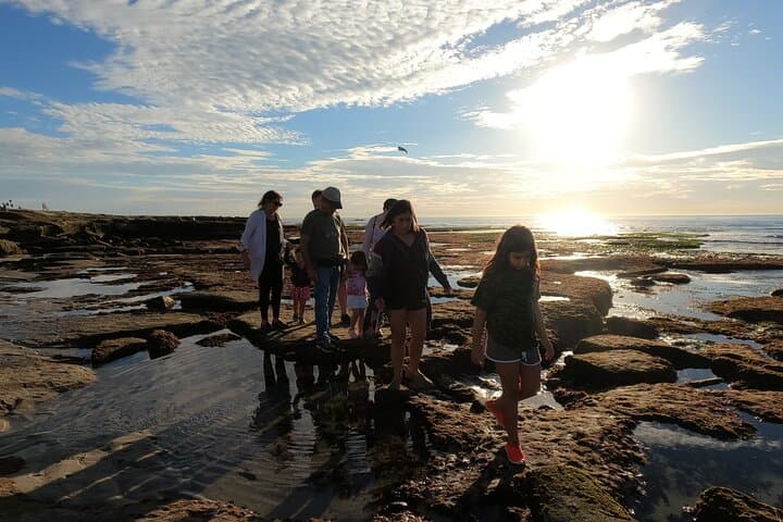 La Jolla Tide Pools Guided Tour with Marine Biologist — San Diego Intertidal Exploration