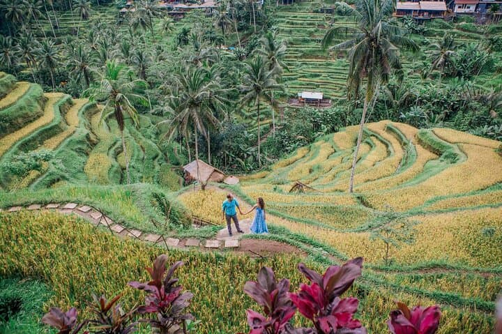 Full-Day Ubud Highlights: Monkey Forest, Rice Terraces, Swing & Holy Spring photo 3