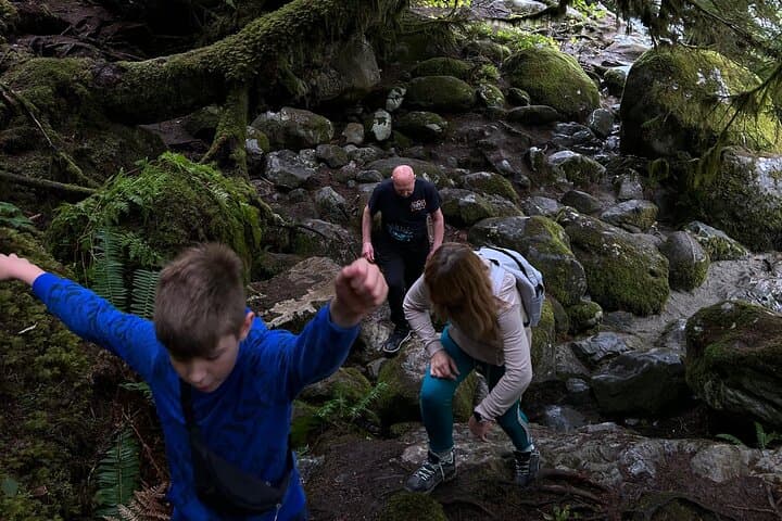 Sea-to-Sky Waterfalls & Quercus Point Private Day Tour from Vancouver photo 6