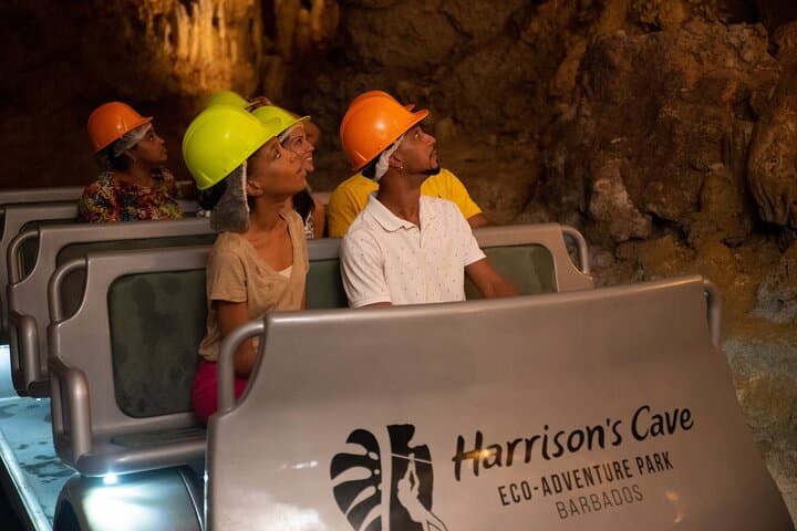 Gully Challenge Course and Harrison's Cave Tram Tour — Barbados Adventure photo 5