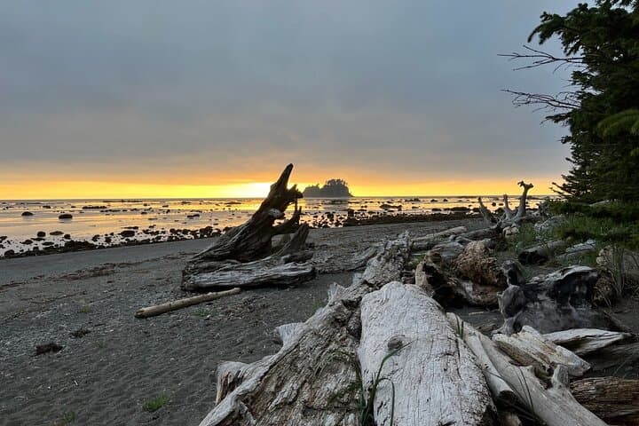 4-Day Olympic North Coast Backpacking: Tide-Reading, Headland Scrambles & Beach Campfires photo 3