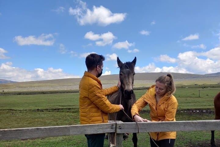 Horseback Riding in Cotopaxi National Park: Full-Day Andes Adventure from Quito photo 3