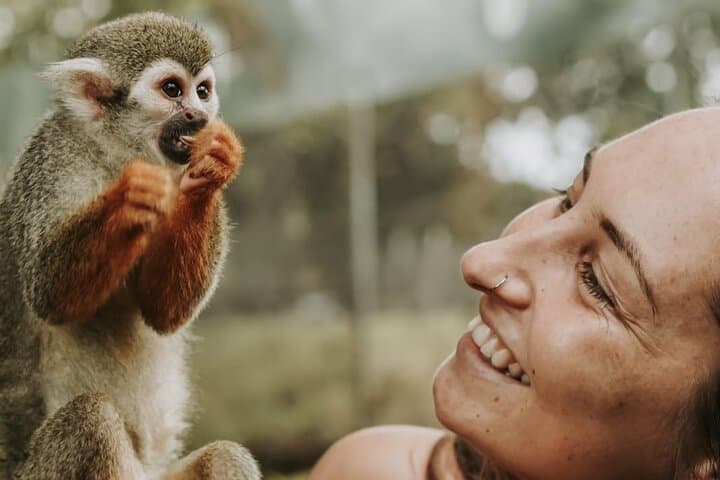 Sosua Monkey Jungle & 7-Platform Zipline from Puerto Plata