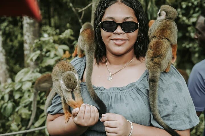 Sosua Monkey Jungle & 7-Platform Zipline from Puerto Plata photo 3