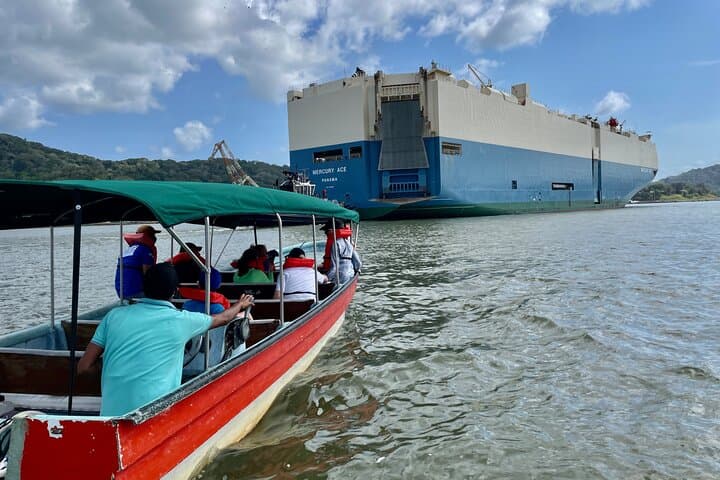 Private Panama Canal Boat & Wildlife Search on Gatun Lake photo 6