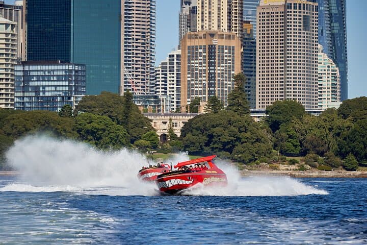 Sydney Harbour Jet Boat Thrill: 30-Minute High-Speed Harbour Ride photo 5