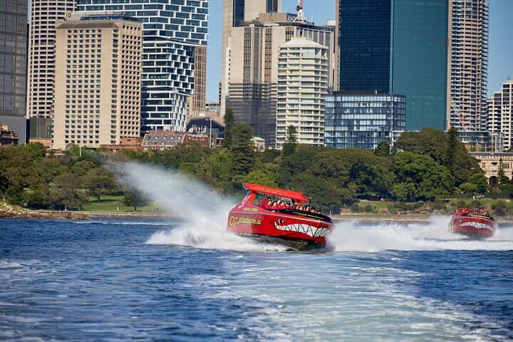 Sydney Harbour Jet Boat Thrill: 30-Minute High-Speed Harbour Ride photo 6