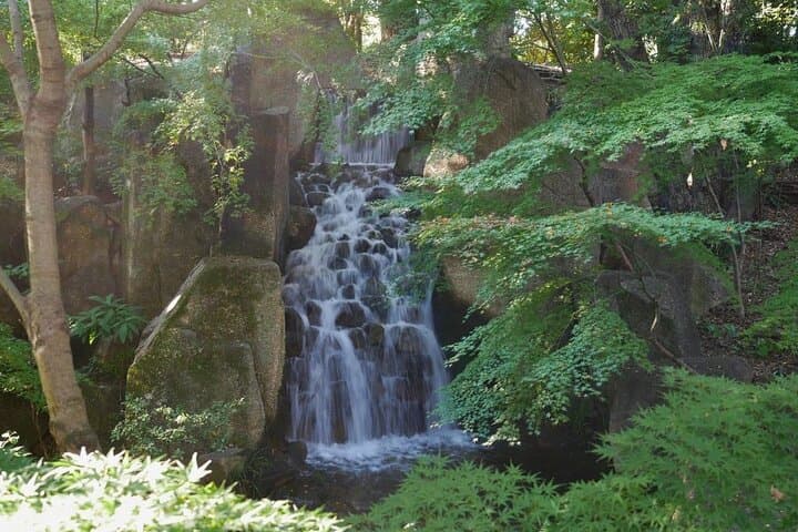 Nagoya Autumn Leaves Private Tour: Castle, Tokugawa Garden & Samurai Treasures photo 3
