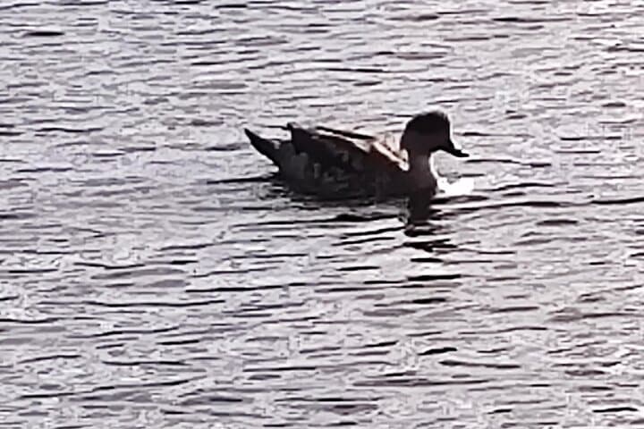 Private Ushuaia National Park Tour — Tierra del Fuego Day Trip photo 5