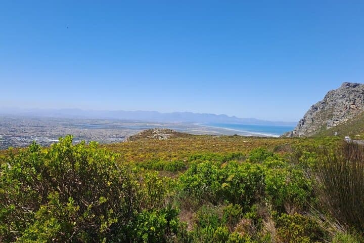 3-Day Cape Town Adventure: Table Mountain, Cape Peninsula & Winelands Tour photo 2
