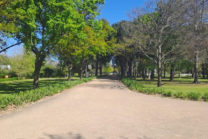 3-Day Cape Town Adventure: Table Mountain, Cape Peninsula & Winelands Tour photo 6