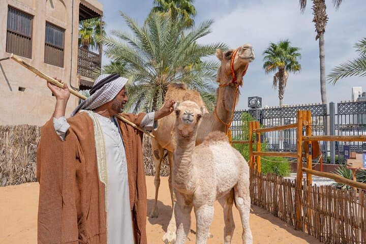 Heritage Express: Emirati Hospitality Experience & Old Dubai Trolley Tour photo 6