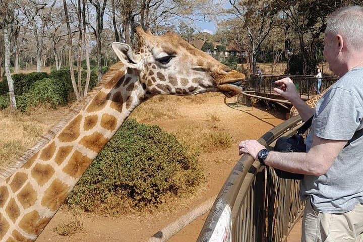 Up-Close with Rothschild Giraffes and Nairobi's Elephant Orphanage — Half-Day Guided Tour photo 3