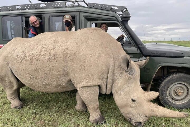 8-Day Kenya Flying Safari: Samburu, Amboseli & Masai Mara with Serena Lodges photo 5