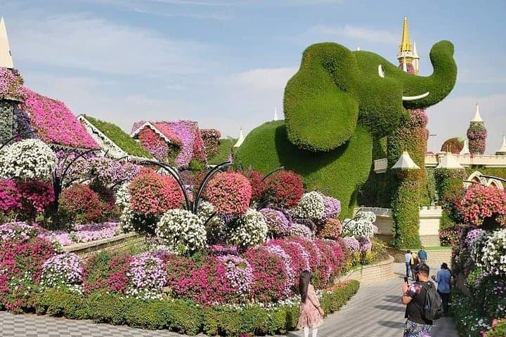 Dubai Miracle Garden & Desert Jet Car Ride: Floral Walk and 30-Minute High-Speed Thrill photo 2