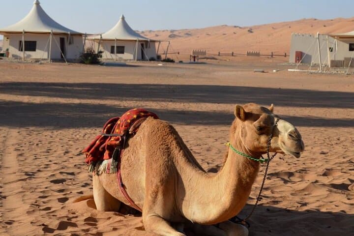 2-Day Nizwa, Wahiba Sands & Wadi Bani Khalid Desert Adventure from Muscat photo 3