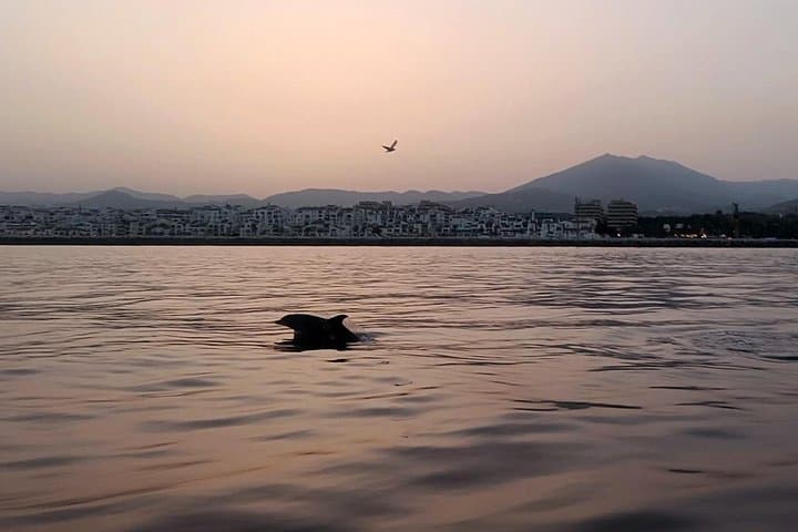 Sunset Sail from Puerto Banús — Private Cava Cruise Along Marbella’s Golden Mile photo 4