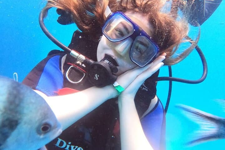 Intro Scuba Diving in Hurghada: Discover the Red Sea's Coral Gardens photo 2