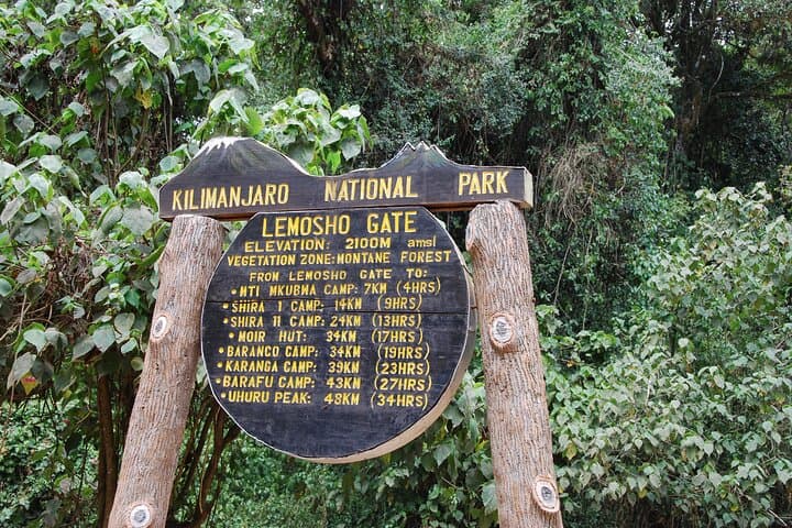 8-Day Lemosho Route Kilimanjaro Climb to Uhuru Peak photo 2