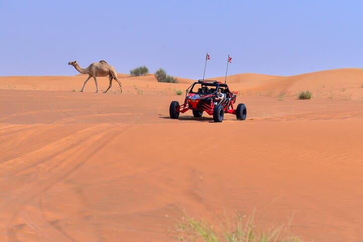 Dubai Dune Buggy Adventure with Private Desert BBQ Dinner photo 5