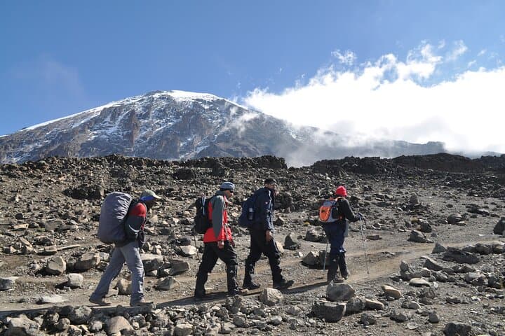 8-Day Lemosho Route Kilimanjaro Climb to Uhuru Peak photo 6