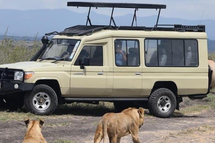Private Half Day Safari Tour in Nairobi National Park: Wildlife with a City Skyline photo 4