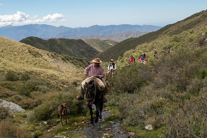 Sunset Horseback Ride in the Andes: Mendoza Valleys, Springs & Mountain Culture