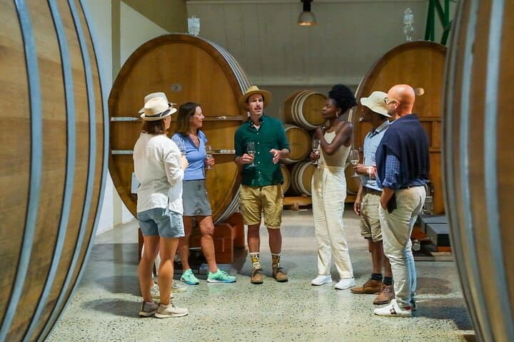 Constantia Wine Walk: Storytelling Vineyard Tour with Lunch from Cape Town photo 5