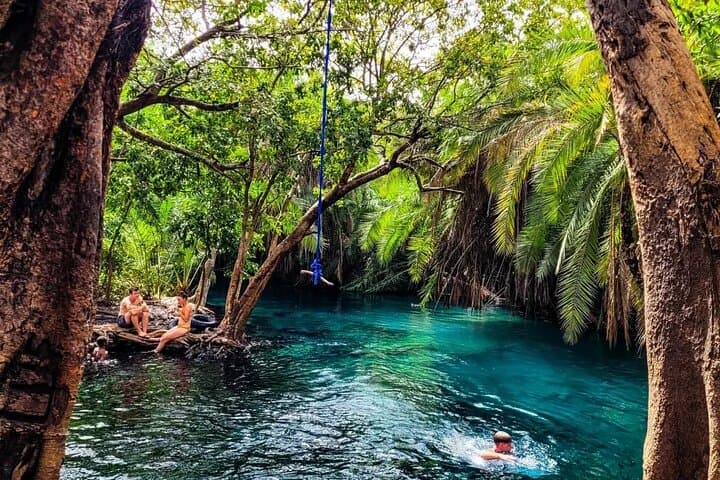 Chemka (Kikuletwa) Hot Springs & Serval Wildlife: Private Day Trip from Moshi