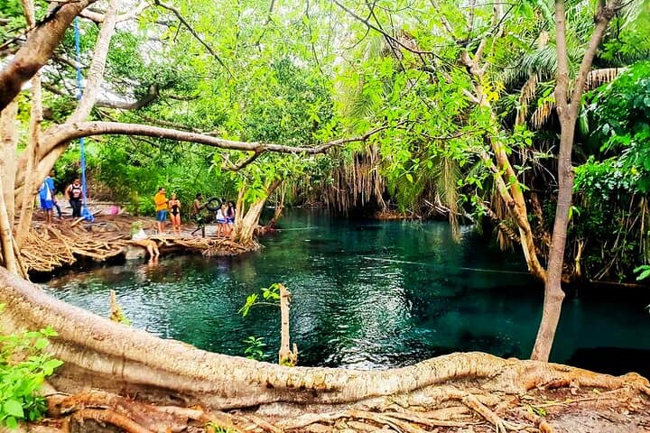 Chemka (Kikuletwa) Hot Springs & Serval Wildlife: Private Day Trip from Moshi photo 2