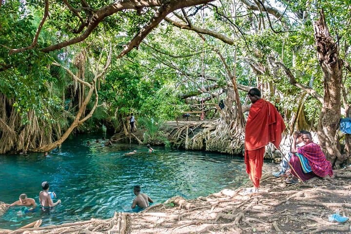 Chemka (Kikuletwa) Hot Springs & Serval Wildlife: Private Day Trip from Moshi photo 4