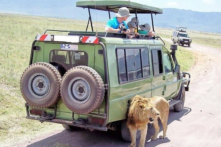 3-Day Masai Mara Classic Wildlife Safari: Big Five & Great Migration photo 3