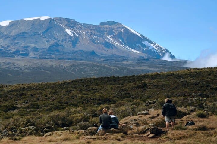 One-Day Marangu Hike to Mandara Hut on Mount Kilimanjaro photo 5