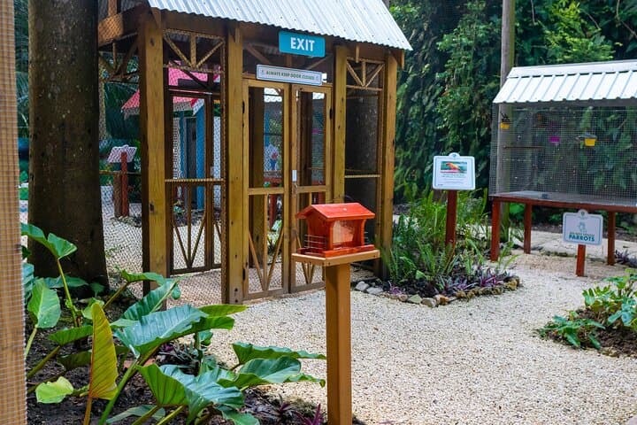 Harrison's Cave Tram, Nature Trail & Rum Tasting — Day Trip in Barbados photo 5